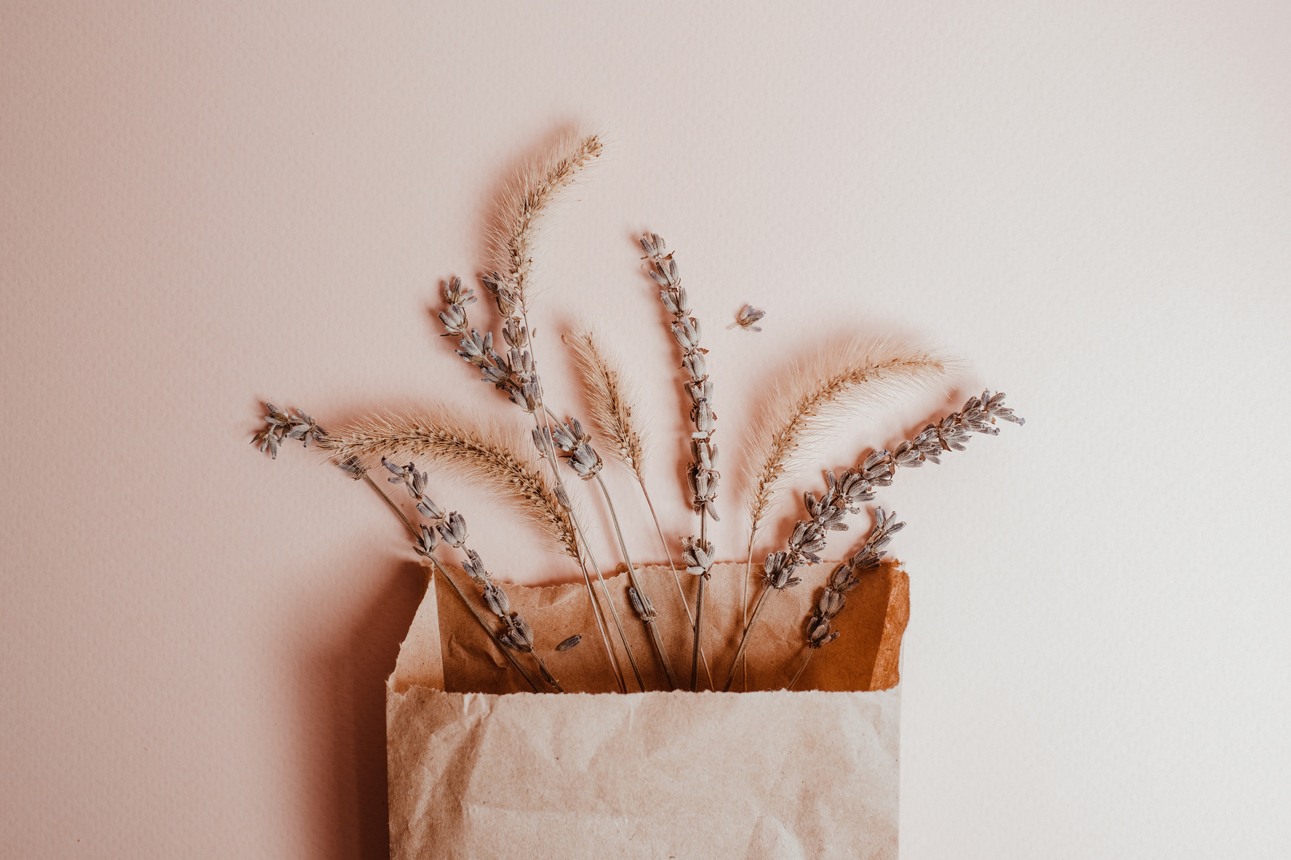 Dried Flowers in a Paper Bag Flatlay