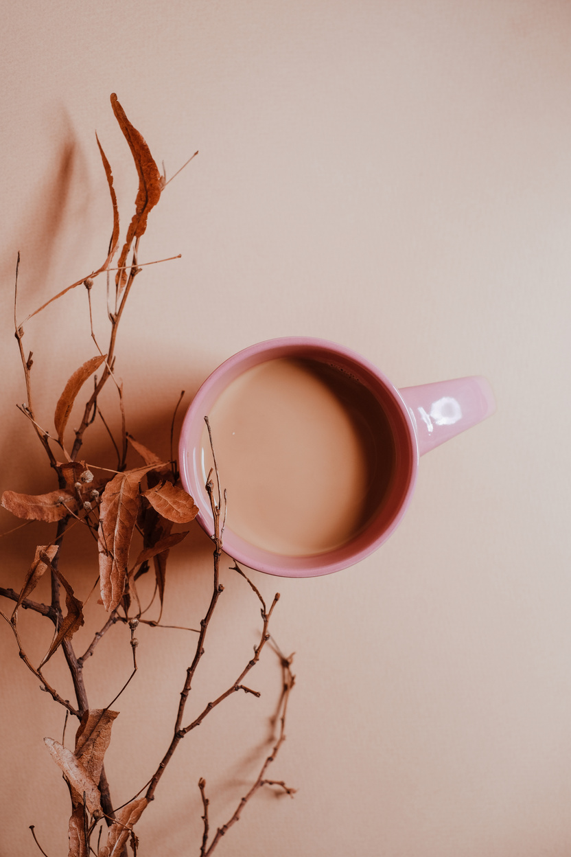 Pink Cup of Coffee with Dried Branch